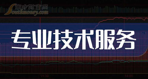 2025年12月31日全球领先的专业技术服务公司盘点 技术服务与技术开发双轮驱动